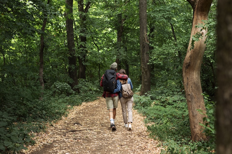 Par promenerar i skogen